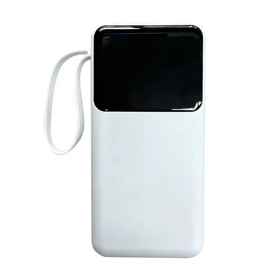 10000 mAh Multi Cable Power Bank