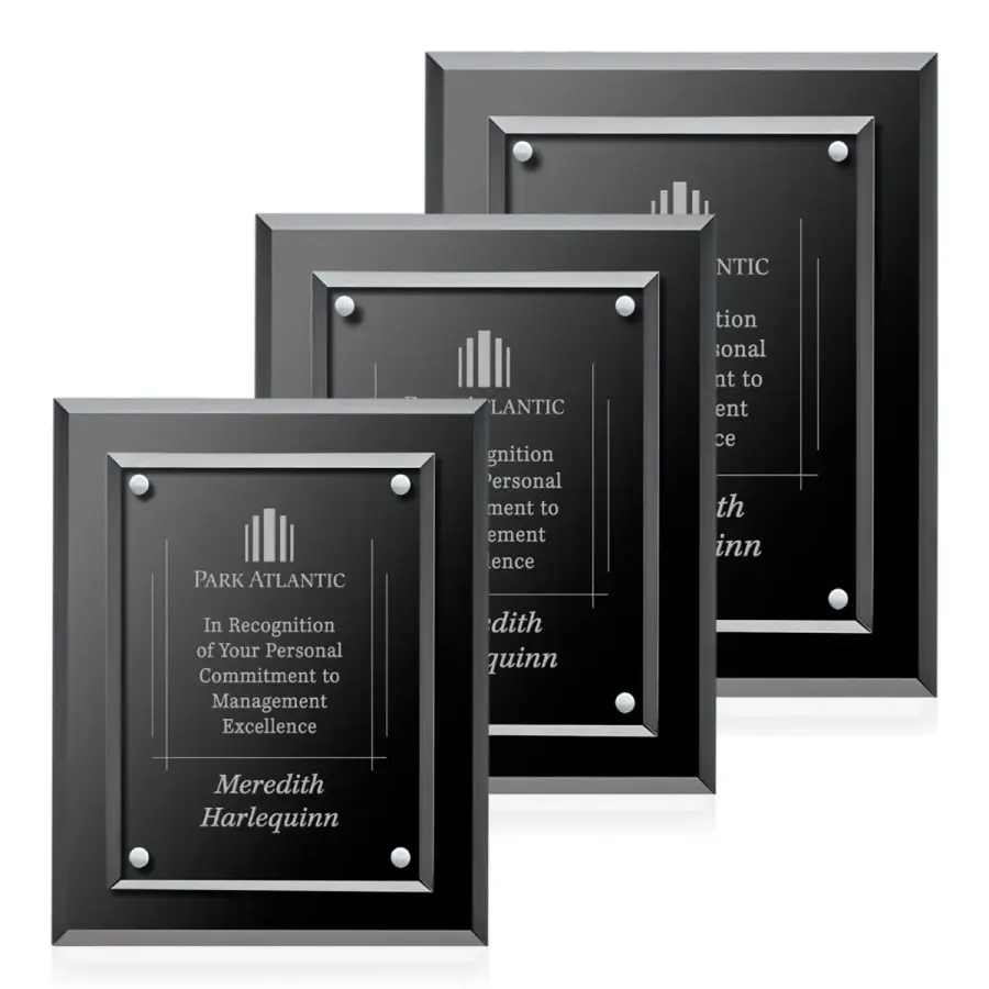 Lexicon Plaque - Silver in Silver