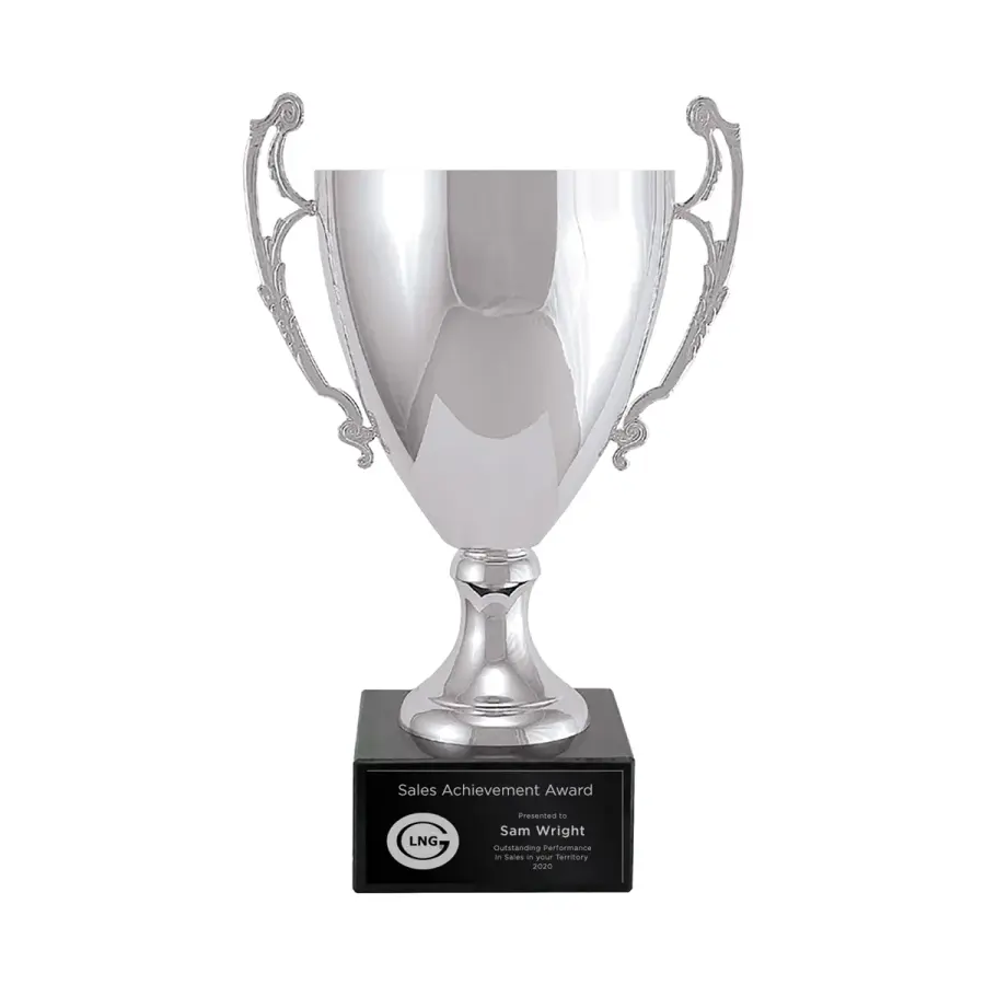 Metal Trophy Cup - Medium in Silver