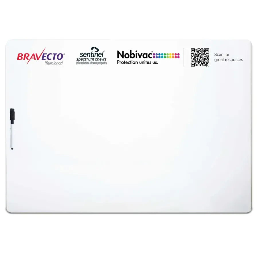 Write-On Wipe-Off Boards 27"w X 19" H