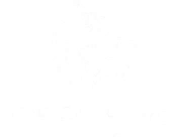 Magnolia Grove Consultants